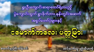 #ငမောက်ကလေး ပတ္တမြား  #ထောင်မှူးကြီးသိန်းဝင်း