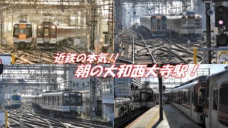 鉄道ファンの聖地、近鉄大和西大寺駅の朝を行き交う電車