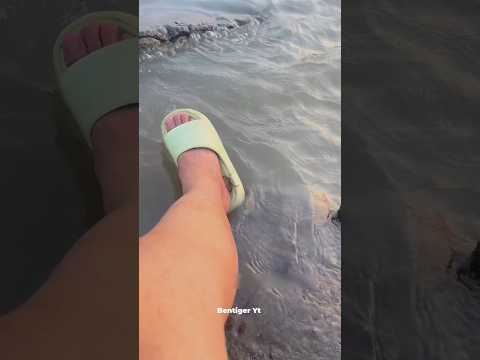 Free Foot Massage by Nature! 🦀😲