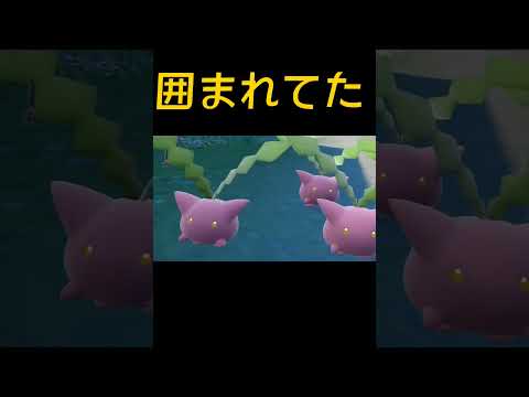 放置してたらハネッコファミリーに囲まれてた【ポケモンSV】#shorts #Pokemon #ポケモンsv