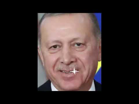 5 Best people who look like Erdogan