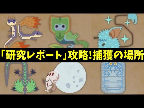 【モンハンワイルズ】サイドミッションの環境生物の場所と捕まえ方まとめ【MHWilds】