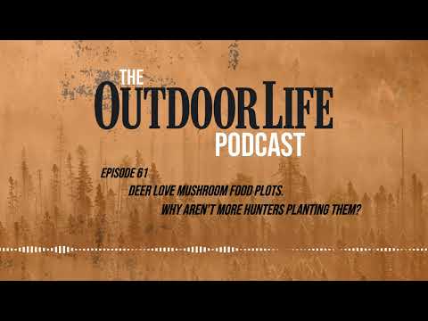 Episode 61: Deer Love Mushroom Food Plots. Why Aren’t More Hunters Planting Them?