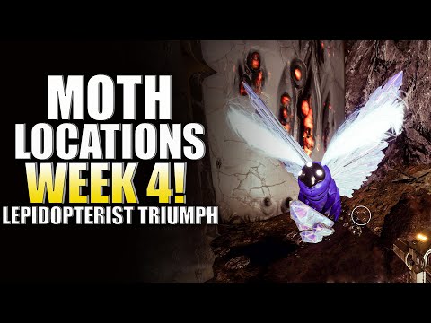 Destiny 2 Lucent Moth Locations Guide For Week 4! Lepidopterist Triumph! Throne World (Witch Queen)