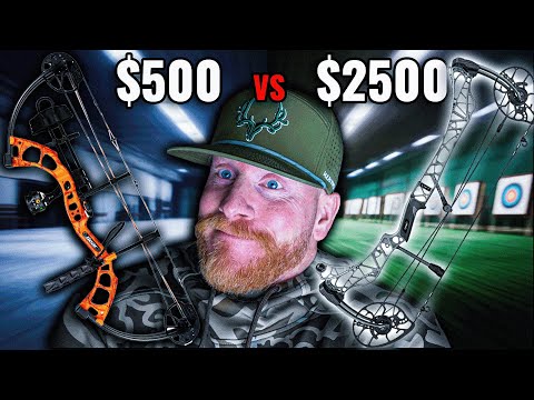 Testing A $500 Bow vs $2500 Bow