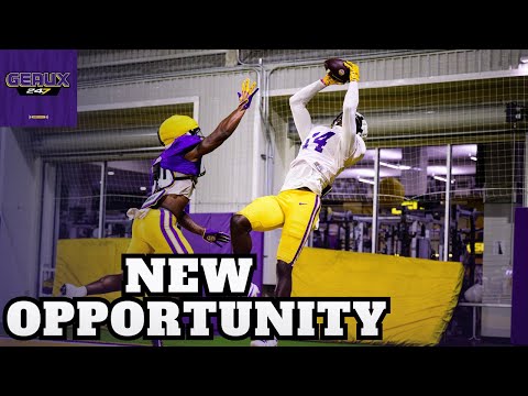 What can LSU prove in Week Two? | Preview + Predictions