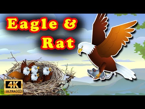 Eagle and Rat Story | Bedtime Moral stories for Kids | English Cartoon | Jolly Kids English