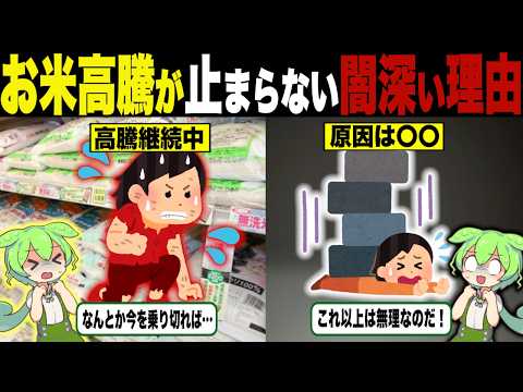 私たちのライフはもう０よ！お米が更に高騰する理由【ずんだもん＆ゆっくり解説】