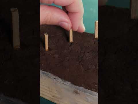 Making a Fantasy Diorama  #diorama #springonshorts