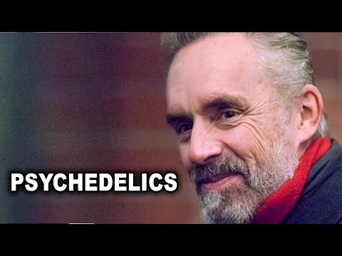 Jordan Peterson: What you Need to Know About Psychedelics