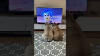 Dogs Heartbreaking Reactions To SADDEST Movie Scene 💔😭