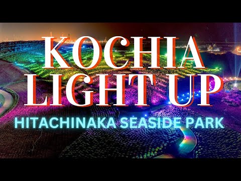 コキアライトアップ 国営ひたち海浜公園  KOCHIA LIGHT UP HITACHI SEA SIDE PARK #japan #illumination #hitachiseasidepark