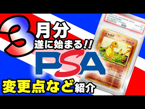 【ポケモンカード】遂にPSA 3月分始まる！　変更点などを紹介。　日本支社経由　【PSA鑑定】