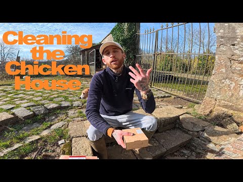 Cleaning the Chateau Chicken House