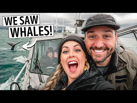 One Day in Icy Strait Point, Alaska - Port Guide | Stop #3 on our 7 Day Alaska Cruise (NCL Bliss)