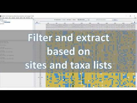 Filter and extract large number of sites and individuals