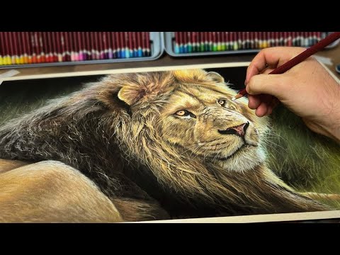 My Process for Realism : Painting a Lion in Pastel