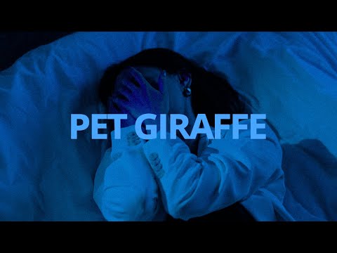 Harry Was Here - Pet Giraffe // Lyrics