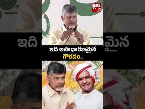 Chandrababu Naidu : ఇది అసాధారణమైన గౌరవం.. | BIG TV