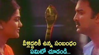 Nagakanya Telugu movie Scenes || Suresh || Nirosha Radha || Ranganath || Telugu Movie Talkies