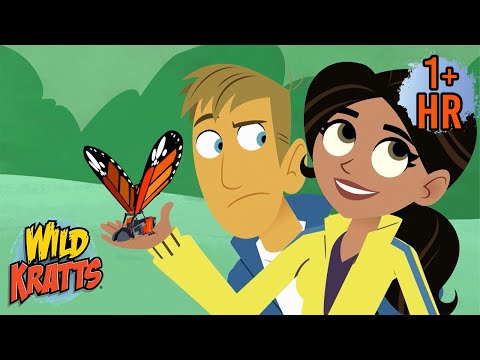 Voyage of the Butterflier | Full Episodes | Wild Kratts | 9 Story Kids