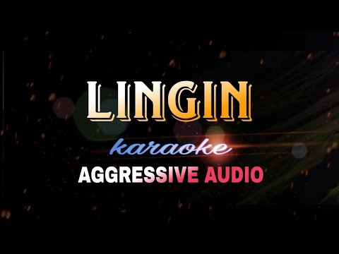 LINGIN Karaoke aggressive audio