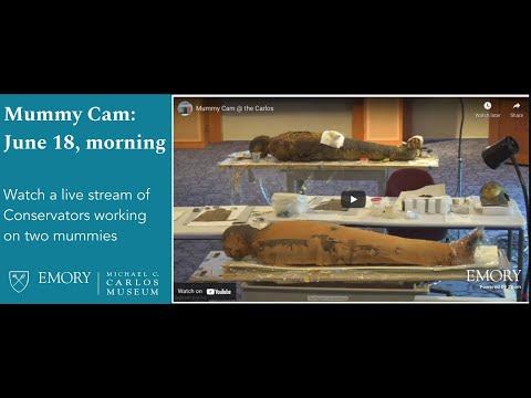 Mummy Cam @ the Carlos, June 18, morning