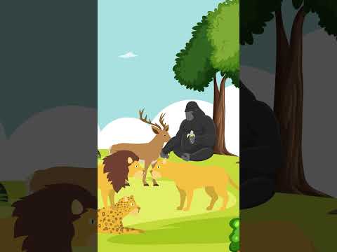 simba the king of jungle। hindi cartoon video। #hindicartoon #newanimationshorts #hindistories