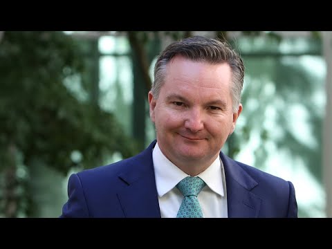 Labor’s polling ‘goes down’ every time Chris Bowen speaks