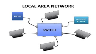 How Routers & Switches Work: Networking Basics Explained