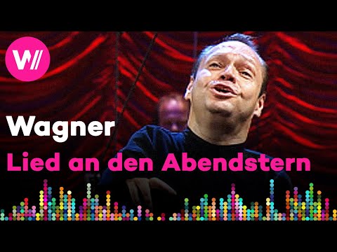 Wagner - Tannhäuser: Lied an den Abendstern (Thomas Quasthoff) | Opera Night, Cologne 2005