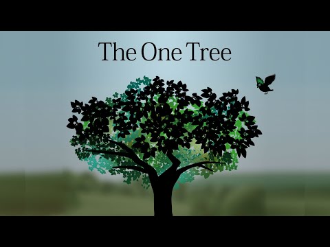 Animated Bedtime Story / The One Tree~Japanese fairy tale anime movie with English audio