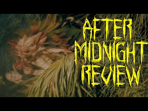 MOVIE REVIEW AFTER MIDNIGHT