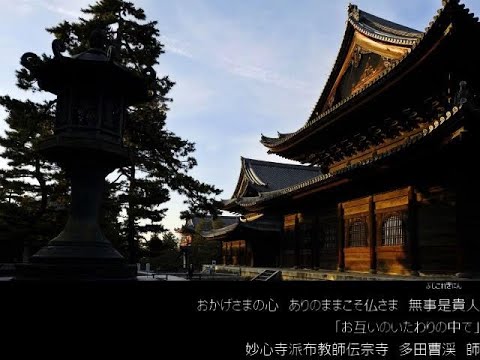 第5回「お互いのいたわりの中で」臨済宗妙心寺派布教師 多田　曹溪師