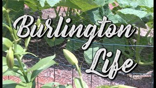 Burlington Life: New England Gardening