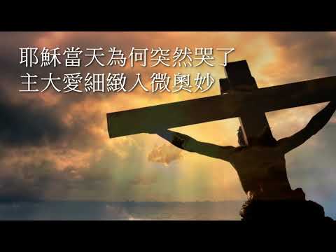 粵語詩歌 - 耶穌為何哭了 - 願主賜香港平安 - 香港之歌 Official MV