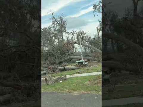 GA Welcome Center week after hurricane Helene#hurricaneoutlook#georgia #hurricane#classicalmus