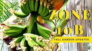 Fall Gardening In Zone 10b