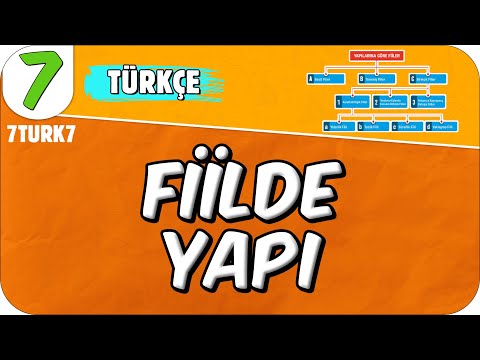 Fiilde Yapı 📙 7TURK7 #2025