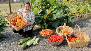 Full September Garden Tour and a Massive Harvest!