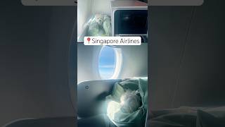 Singapore Airlines Business Class with a dog in cabin #singaporeairlines #businessclass