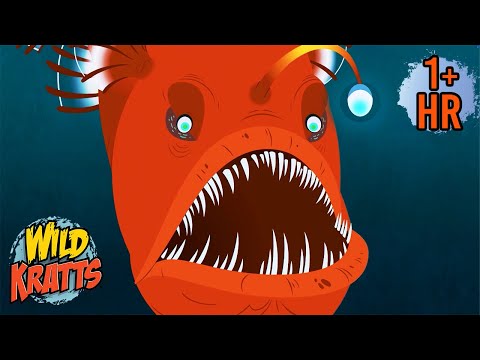 Sharks, Fish & More! 🌊 Wild Kratts Underwater Adventures | 9 Story Kids