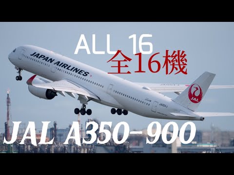 [4K] Japan Airlines A350-900 all aircraft 全機 at TOKYO HANEDA Airport | JA13XJ R.I.P