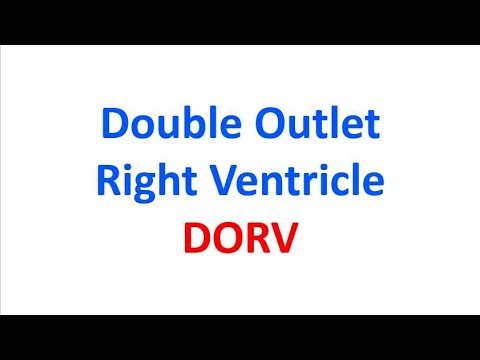 Double outlet right ventricle (DORV)