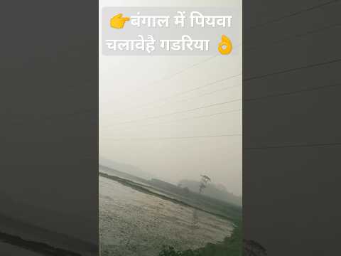 viralvideo हमार पियवा चलावे डीजलगाड़िया 🤣💞