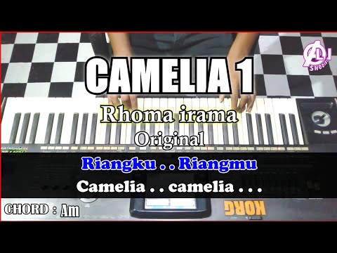 CAMELIA Karaoke Dangdut Korg Pa3x (Chord&Lirik) nada cowok