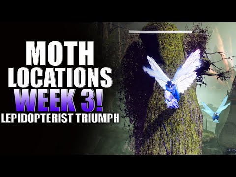 Destiny 2 Locations Guide For Lucent Moth Week 3! Lepidopterist Triumph Throne World! (Witch Queen)