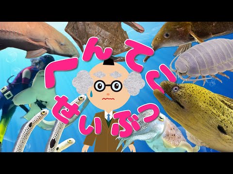 【ようかい博士】水族館でへんないきもの調査！サンシャイン水族館でちょっと変わった不思議で面白い魚・生き物を調査したよ！海の生き物♪知育　子供向け動画　透明な魚・ピパピパ・ケンカするチンアナゴなど☆