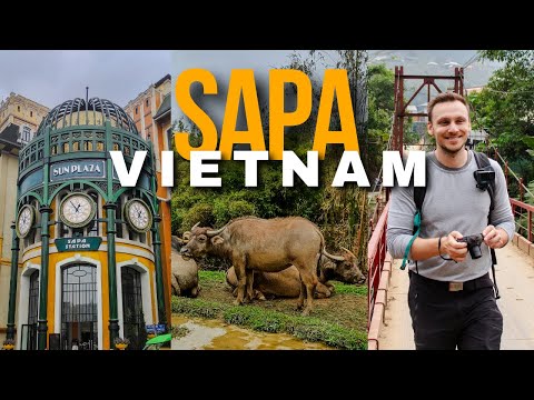 Trekking in SAPA, VIETNAM -  We did NOT expect this! Buffalo Trek, Rural Village & Sharing Tips VLOG