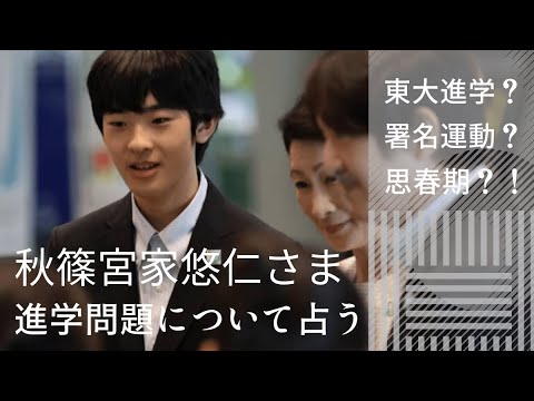 【タロット占い】東大進学？反対署名運動？思春期？！秋篠宮家悠仁さまの進学問題について占う